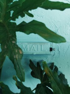 Close-up of green leaves against a turquoise wall with a mail sign.